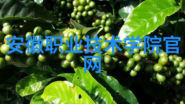 工业干燥设备高效干燥技术的关键应用与发展趋势