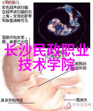 水源之谜揭秘生活用水检测的真实成本