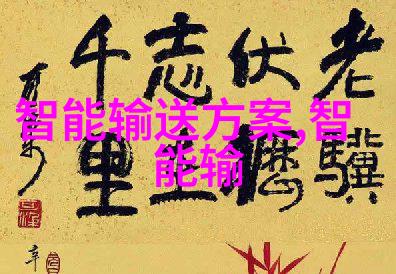 真人男孩驾驶车辆的刺激视频记录