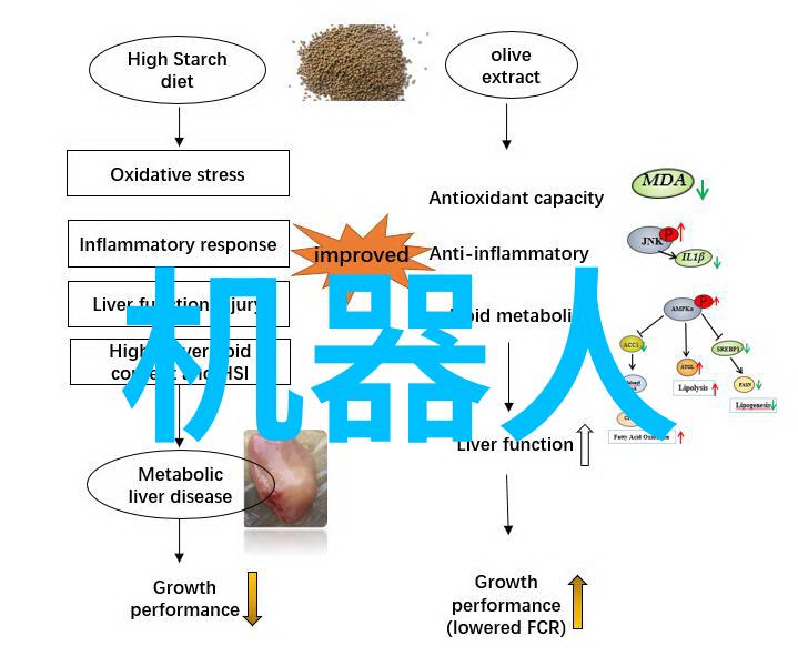 国产GPU独角兽摩尔线程启航A股上市芯片龙头股的新贵