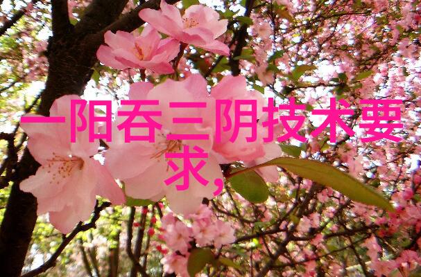 探究芯片之内剖析多层结构的奇妙世界