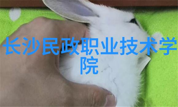 上机数控-精密加工艺术探索数控技术在现代制造业的应用与发展