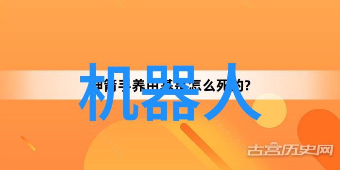 人与自然和谐共生探索YAZHONGHU的智慧