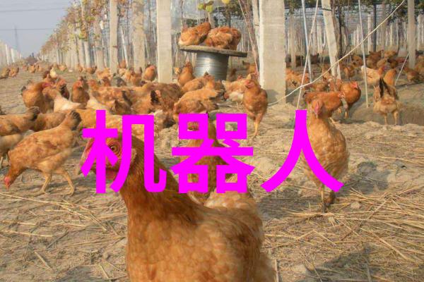 苹果健康管理手表新功能解析如何让你的生活更智能化