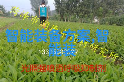 高清BBWBBWBBWBBWBBWBBW探索肥胖女性的美丽与力量
