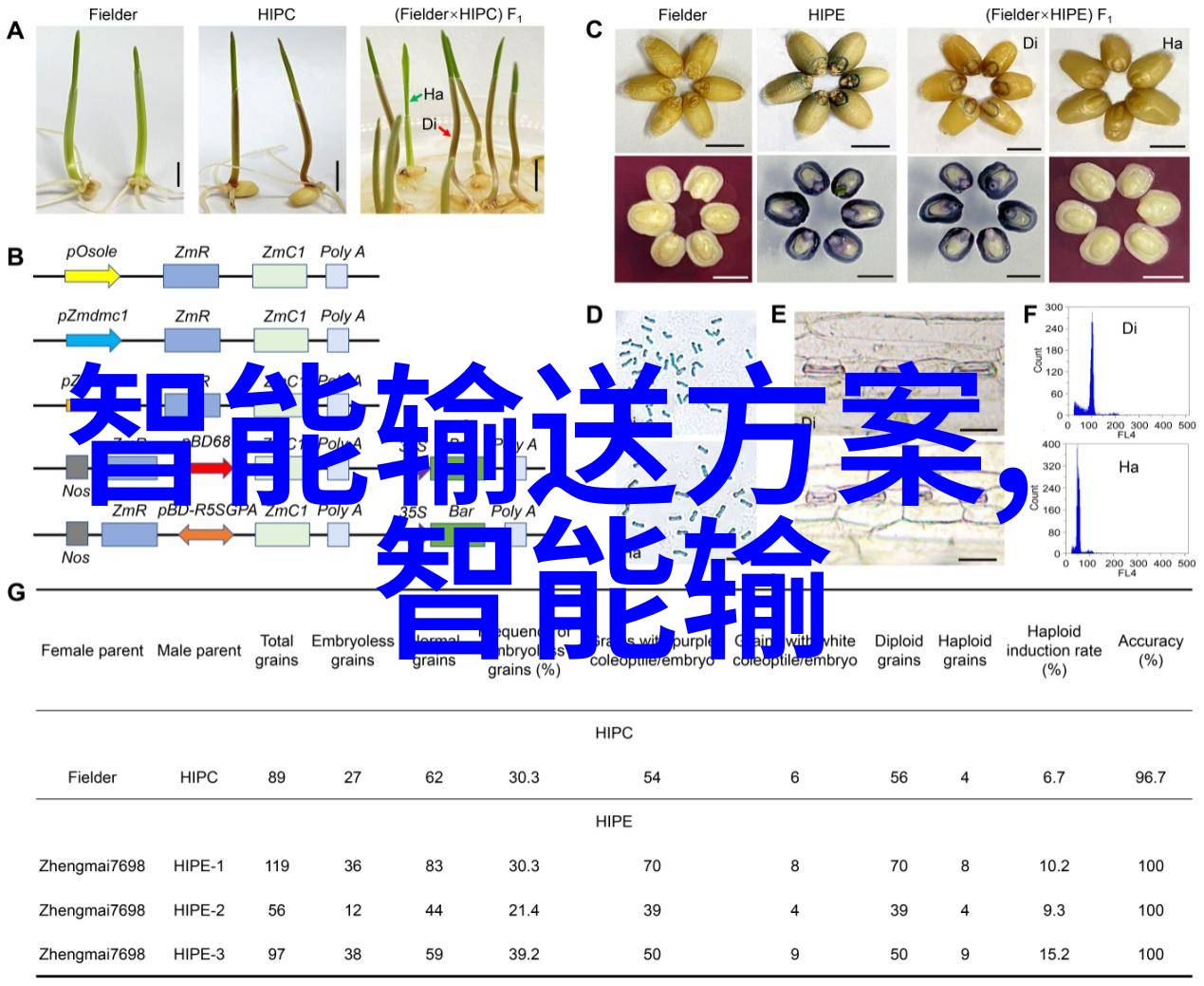 繁华与荒凉安卓应用市场的双重面貌