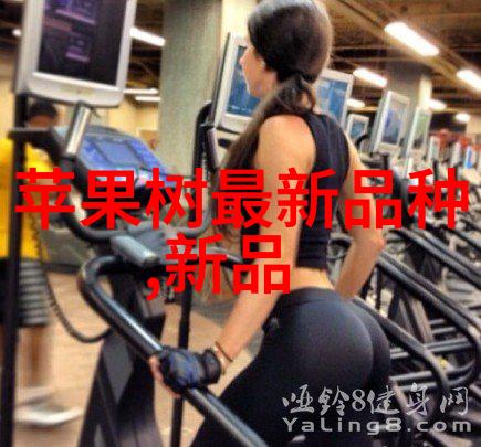 布袋除尘器堵灰的原因-灰飞烟散揭秘布袋除尘器堵塞之谜