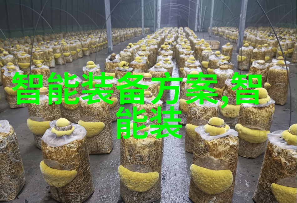 金属之翼彩钢压瓦机的旋律与诗篇