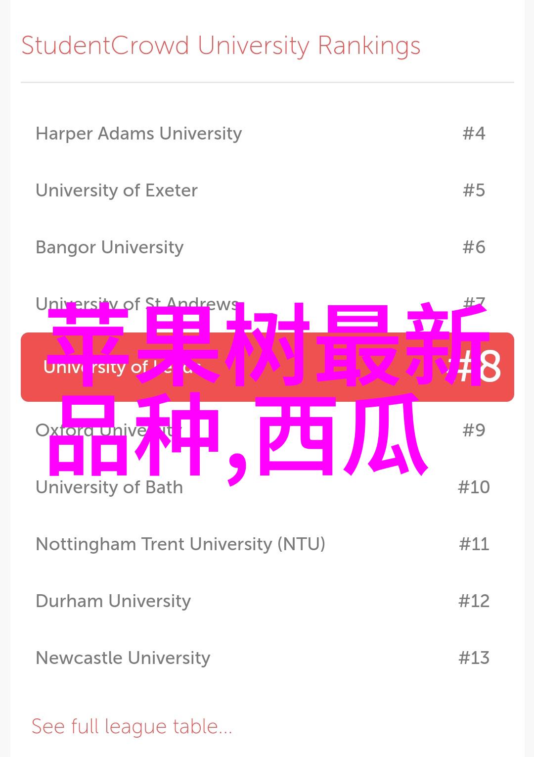 神经网络融合衣物未来的智能服装技术展望