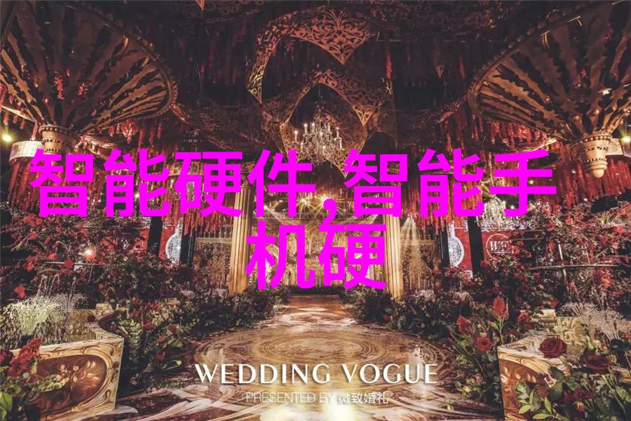 东部经济新星大连财经学院的辉煌历程与创新发展