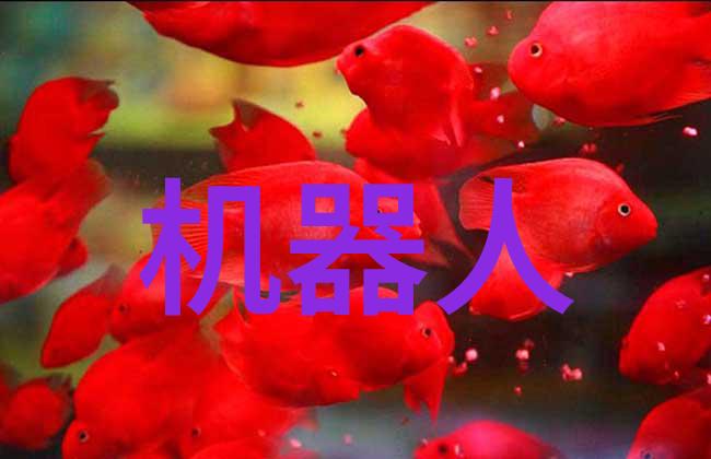龙印战神传说中的武林英雄
