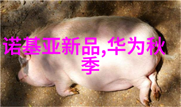 中南财经政法大学研究生院我在这里的日子是多么充实而又精彩