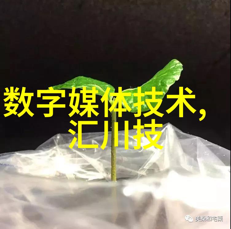 月华独赏心灵深处的明月珰