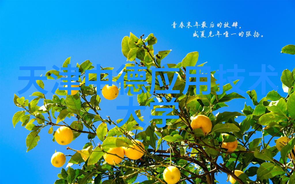 芯片巨头的权威之声华为正确性的认证