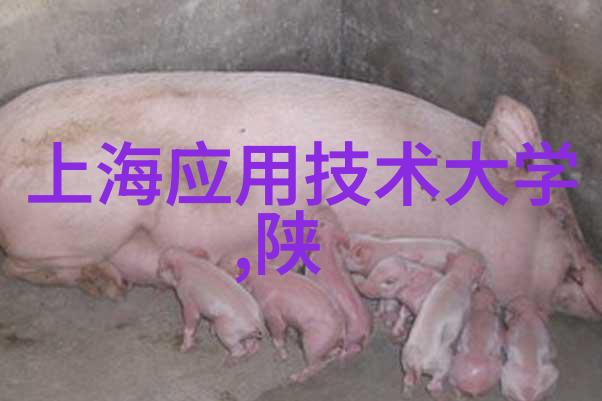 PP填料塑料与聚合物的无缝结合