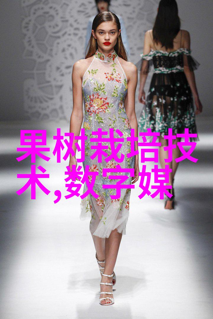 离心脱水机的原理与结构高效液体处理设备