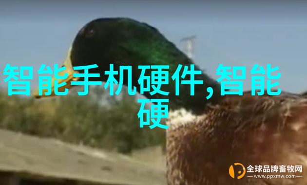氯乙醇之谜沉默的杀手在呼吸中