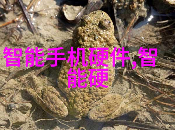 口罩买回家灭菌的必要性探究