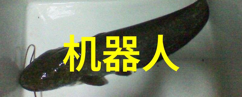 空调散热器铜铝分离机确保制冷效率的关键设备