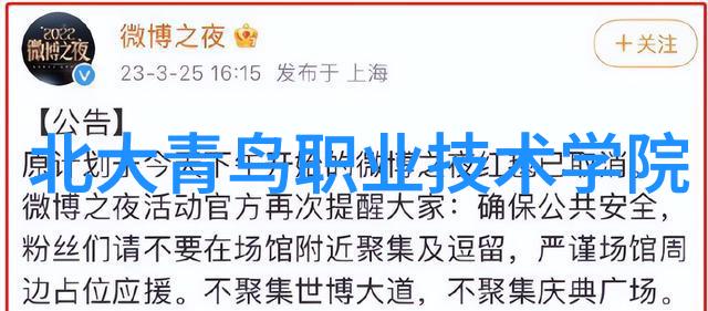 撰写报告的艺术精湛技巧与成功案例