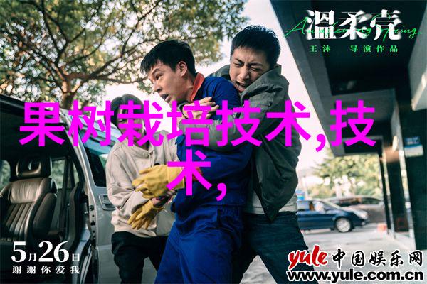 五道口职业技术学院是什么-探索五道口揭秘一所培育技能者宝库的职业教育奇迹