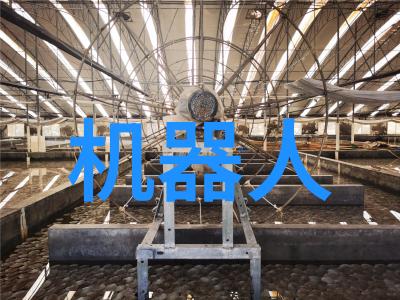 中国市场调研网洞察行业动态的重要平台