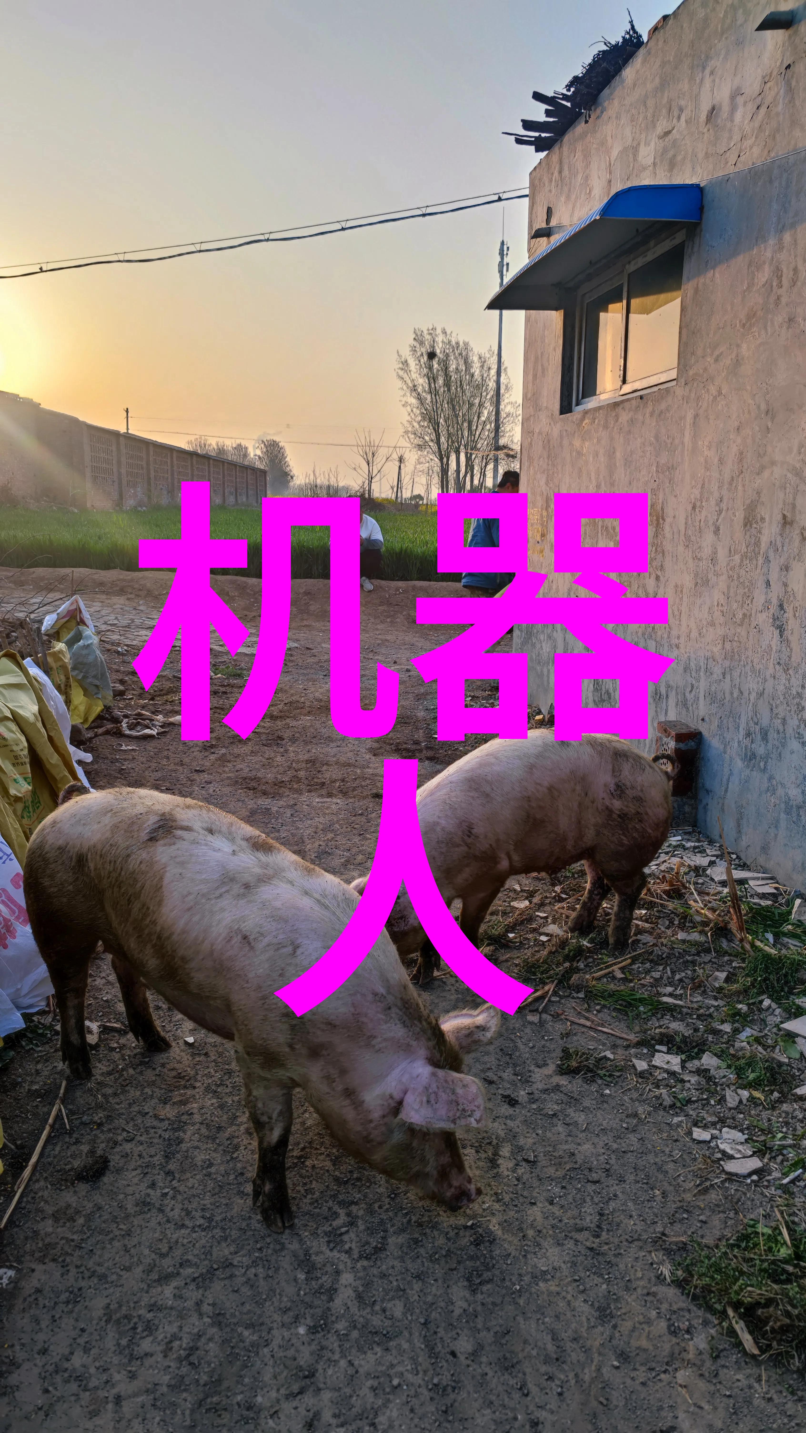 厨电市场激战安徽技艺展谁能稳住风浪