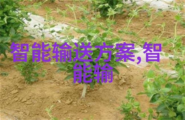 锦夜来否我是怎么遇到那个穿着绿裙子的姑娘的