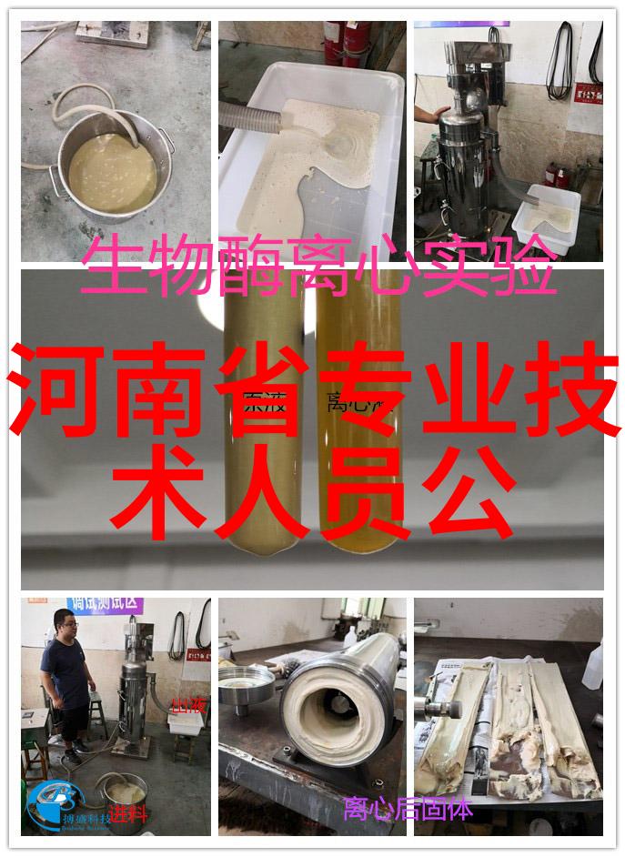 海底的祭典揭秘海王祭的神秘仪式