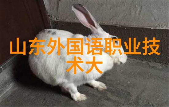 人才评估的精髓多元化方法的应用与实践