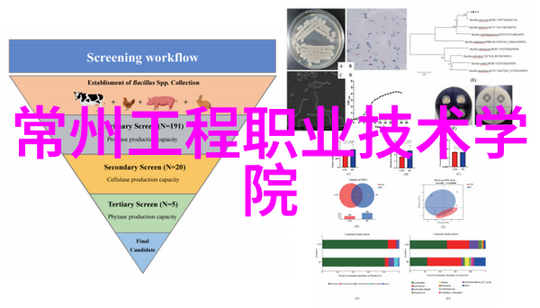 规整填料对环境影响如何进行评估和减轻