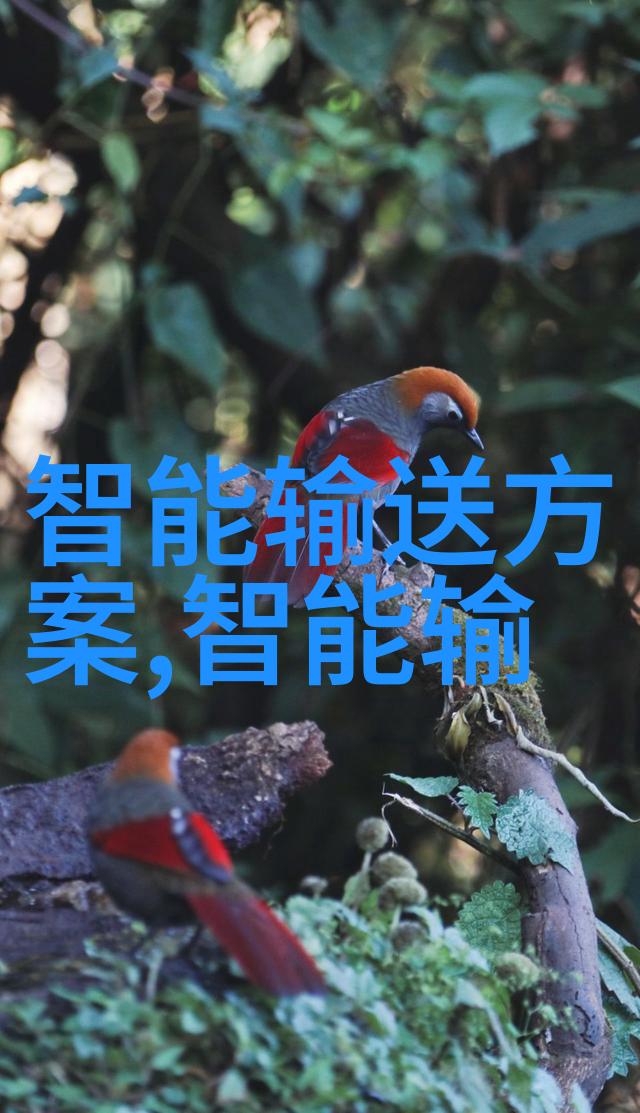 丝网填料750塔板工程奇迹的精细织品