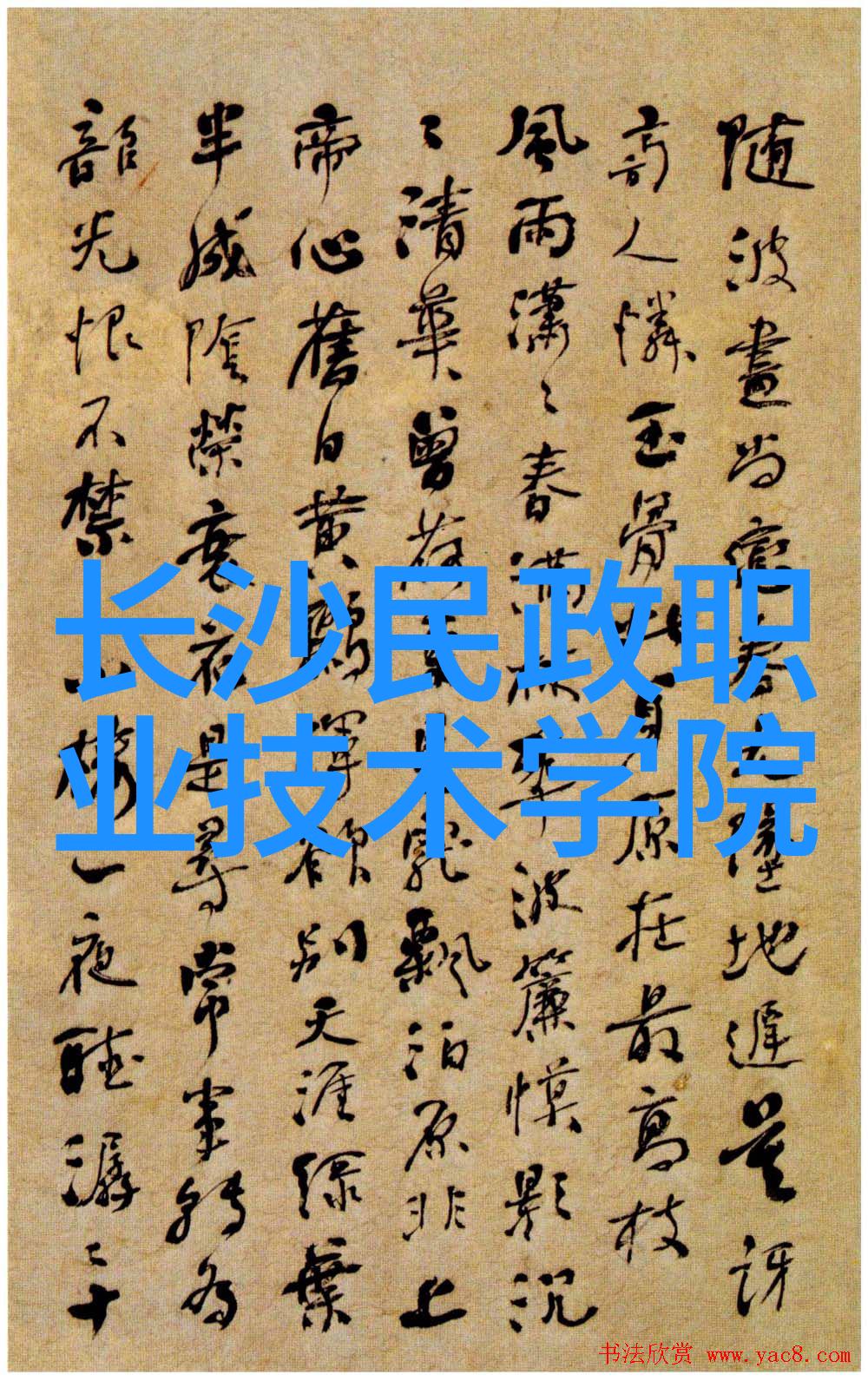 探索智能手机在穿戴技术中的角色从传统设备到现代扩展体验的演变