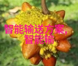 生活点滴我和se9999se之间的奇幻旅程