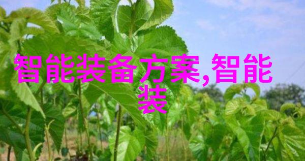 智能穿戴新纪元探索可穿戴设备的未来