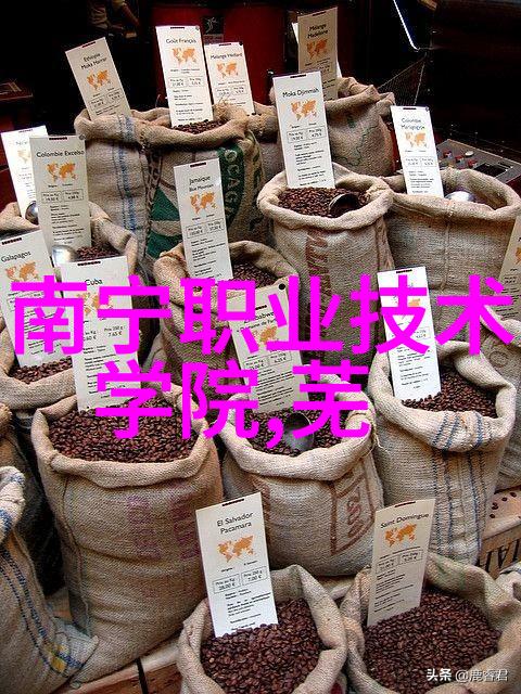 智能手表健康监测全天候心率检测睡眠分析血氧饱和度追踪