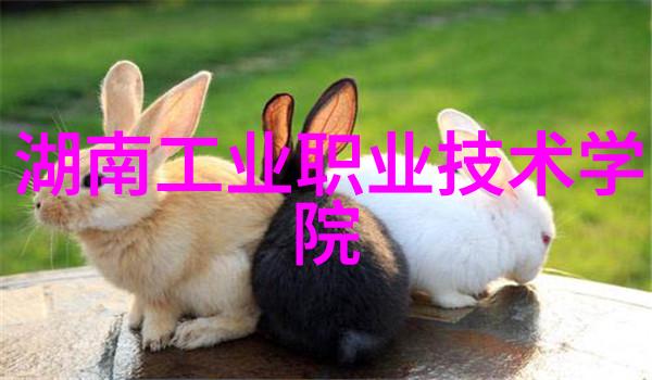 机器人之眼揭开未来科技的面纱