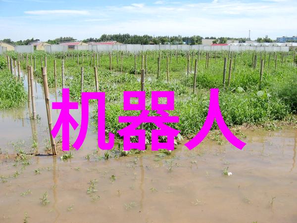 福建农业职业技术学院我在这片田野上找到了自己的方向