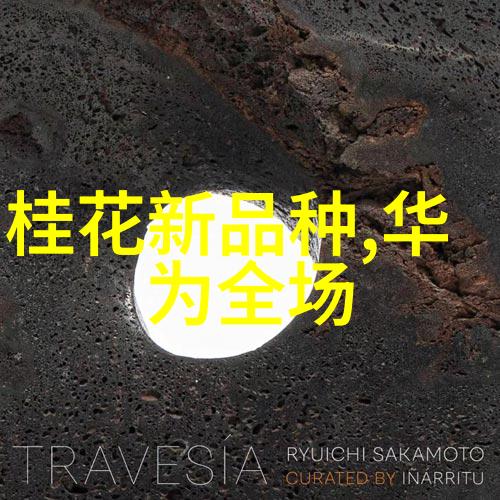 蒸汽时代的逆袭全自动发生器与工业文明的反差交响曲