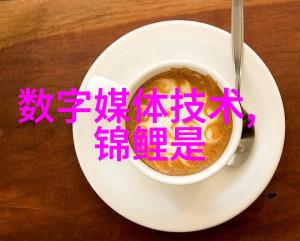 不锈钢的邻里探索生活中的坚固伙伴