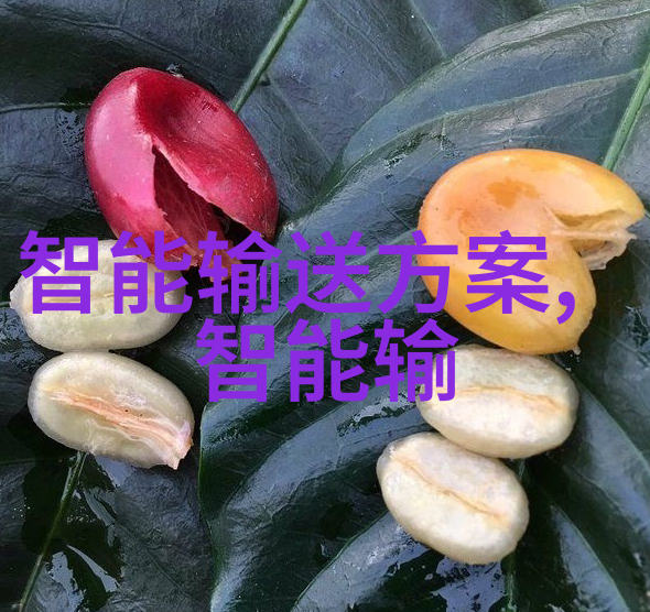 纯净水检测指南揭秘如何确保每一滴水的清洁度