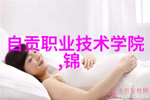 数据驱动小米13调光技术深度解析排行前8款无线智能摄像头的亮点与差异