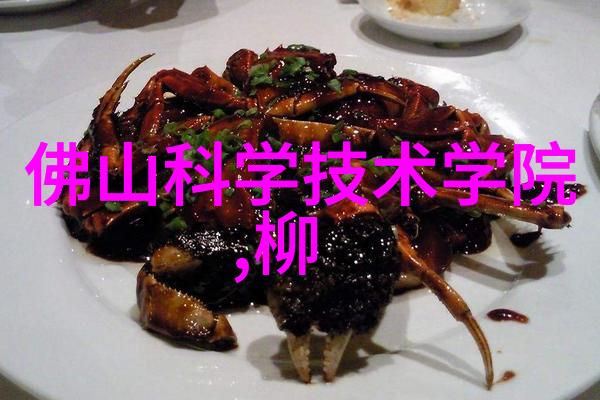 带式干燥机-高效连续性干燥技术的应用与实践