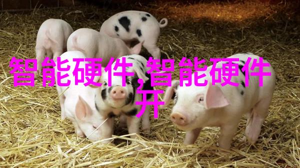 电子产品-碟片分离机磁性革命的现代助手