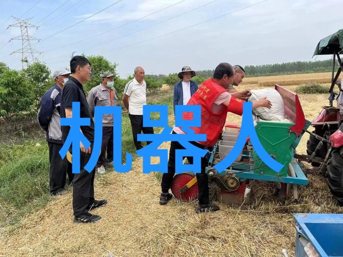 花花游龙翩跹江湖之巅