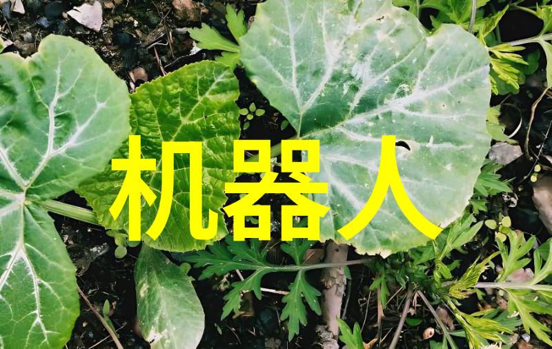 清洁之道卫浴区的卫生守则