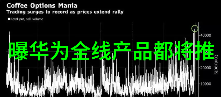 实木家具的魅力与挑战