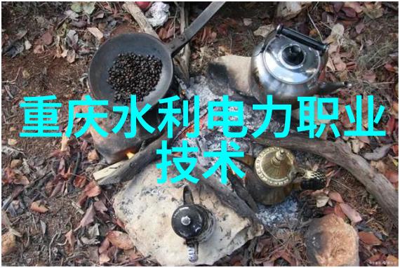 党性分析报告铸就坚定信仰的基石