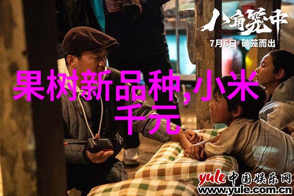 人才评估测试干什么的-揭秘人才评估测试如何精准评价和选拔顶尖人才