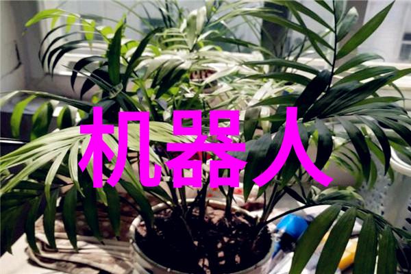 中国芯片霸主台积电2025年全球扩张计划建十座新工厂资本投入达2700亿